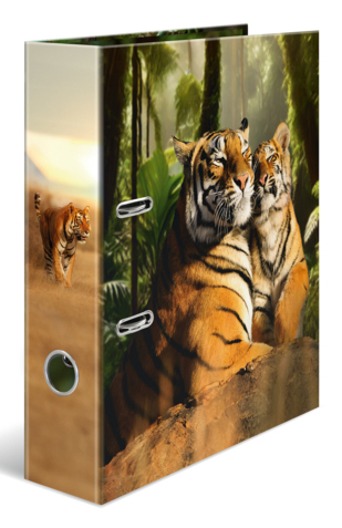 Ordner A4 Karton Tiger 