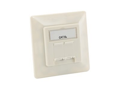equip Professional - Anschlussdose, Unterputz - RJ-45 X 2 - Pure White, RAL 9010 (Packung mit 5)