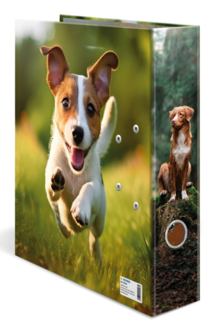 Ordner A4 Karton Hund