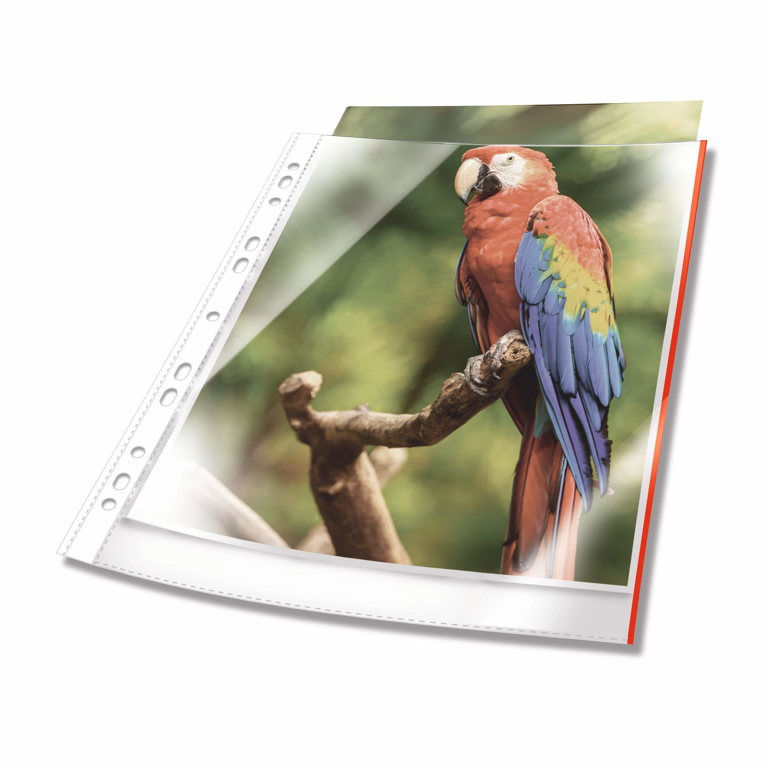 DURABLE Prospekthüllen A4 oben offen 25 Stück glasklar, rot