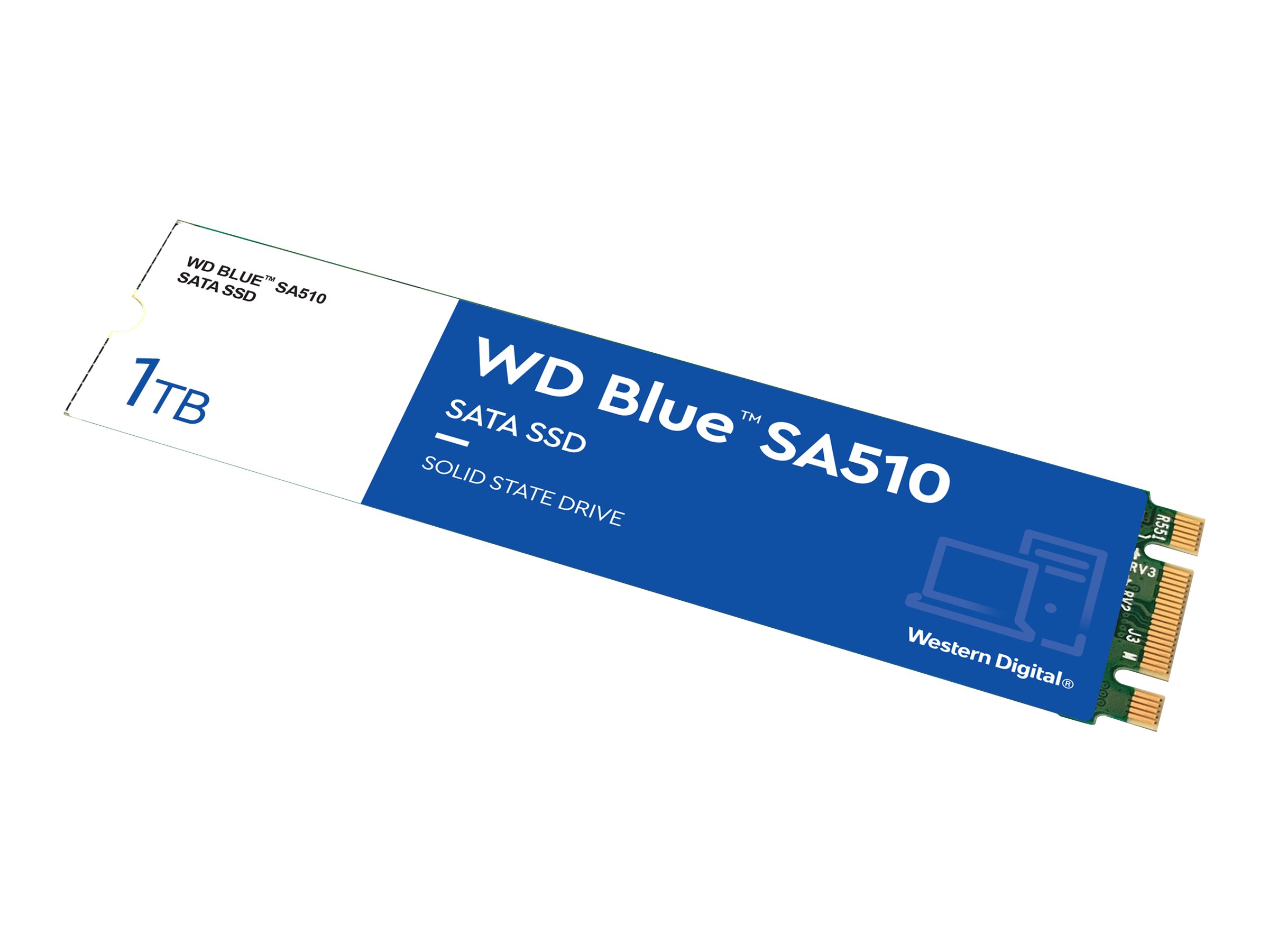 Blue SA510 WDS100T3B0B - SSD - 1 TB - intern