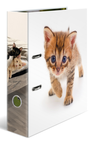 Ordner A4 Karton Katze