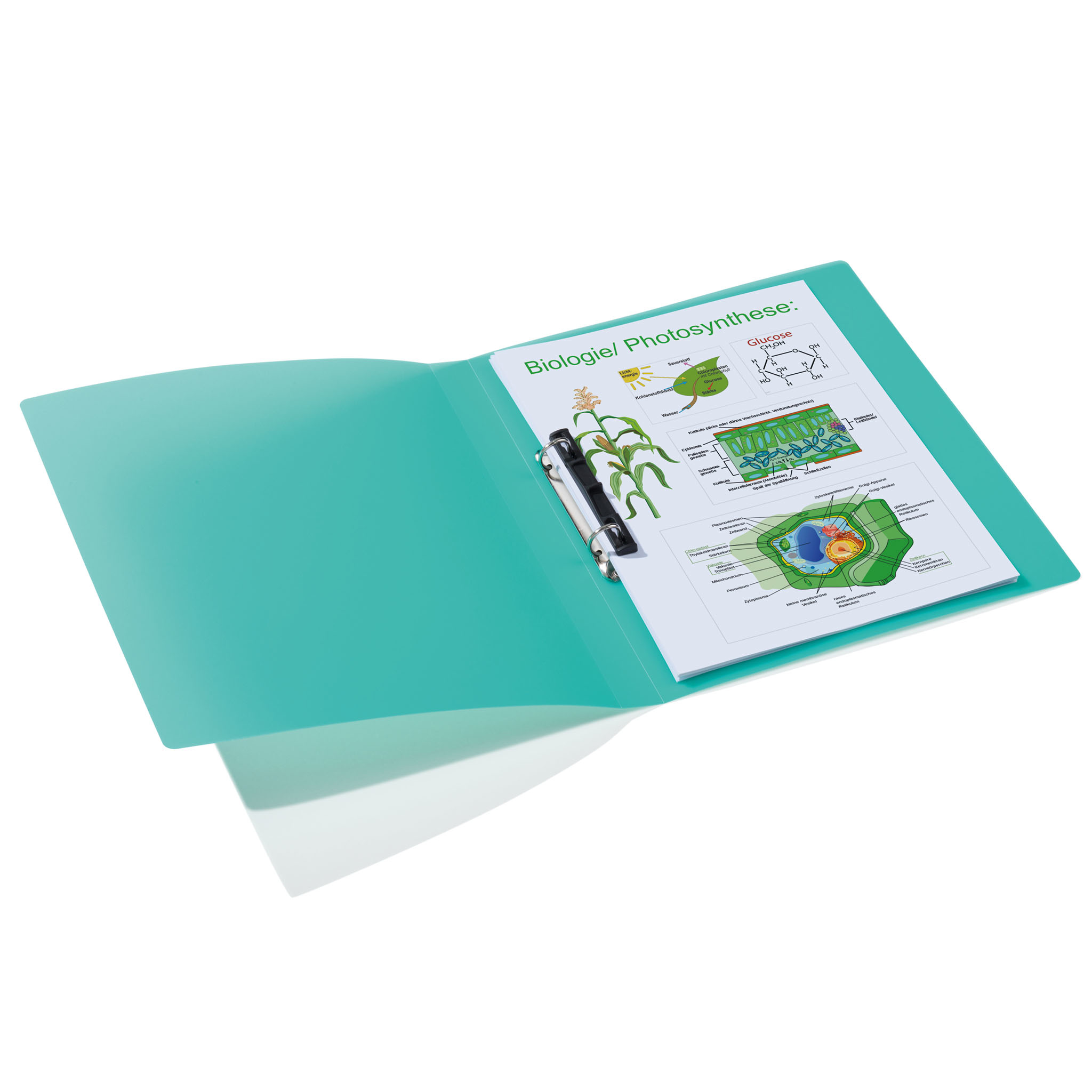 aHR0cHM6Ly9pbmlzaG9wLmNvbS9pbWcvZ2FsbGVyeS81OTI0MTc2NV8zMTIyNjA0NDkwLmpwZw