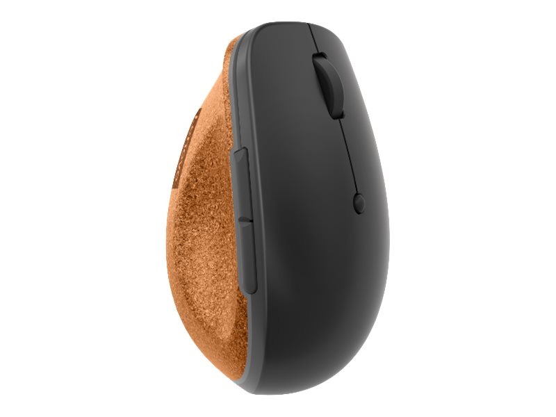 Go - Maus - ergonomisch - optisch blau - 6 Tasten - kabellos - 2.4 GHz - kabelloser Empfänger (USB)