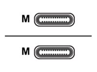 USB-Kabel - USB-C (M) bis USB-C (M)