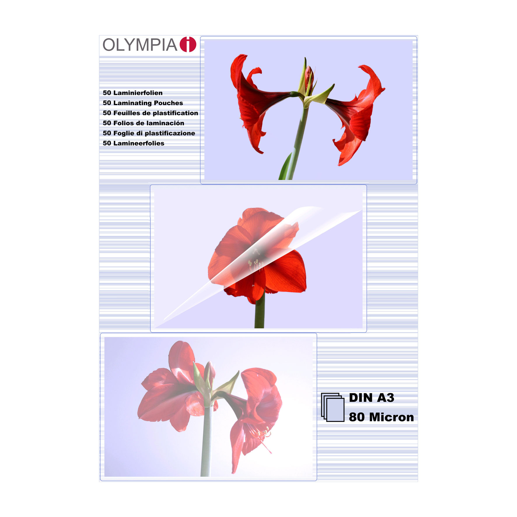 Olympia 1x50 DIN A3 80 micron - Transparent - A3 - 50 Stück(e)