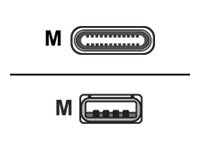 USB-Kabel - USB (M) bis USB-C (M) - USB 2.0