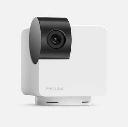 Cam 360 Haustierkamera 1080p mit 8-fach Zoom