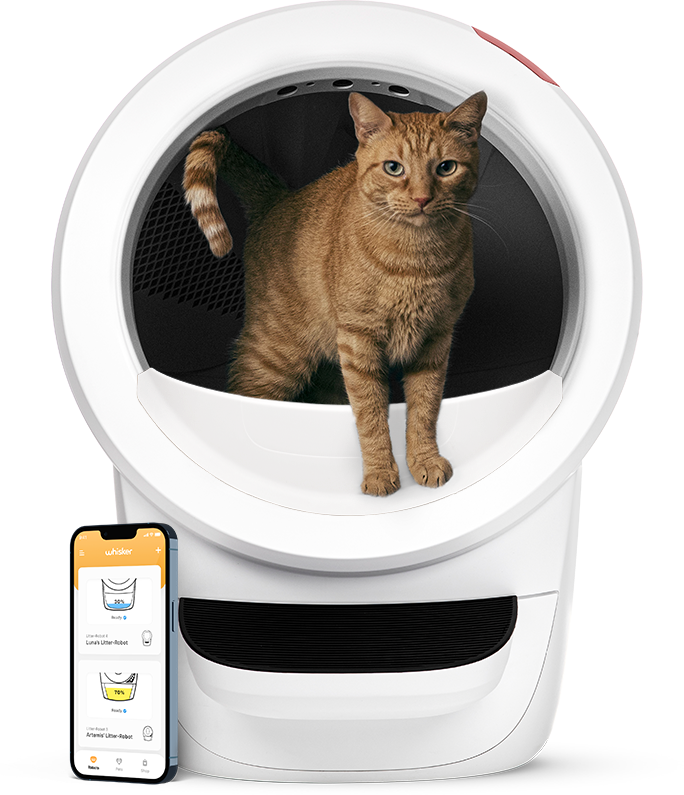 Litter-Robot 4 automatische Katzentoilette | Selbstreinigend | WLAN | Weiß